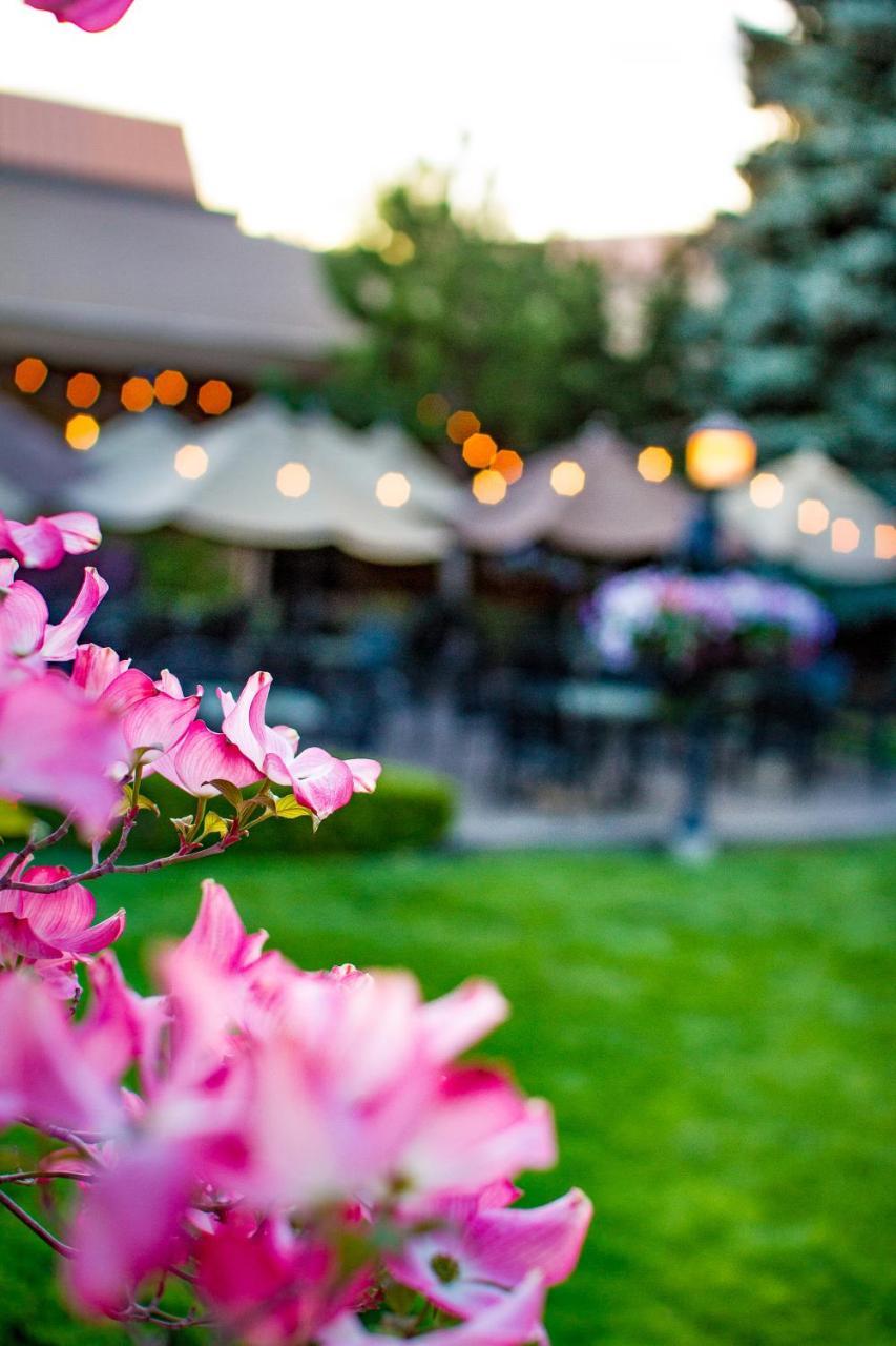 Hotel Mirabeau Park