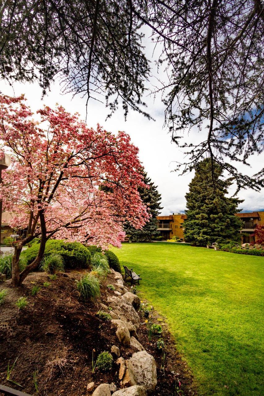 Hotel Mirabeau Park 3*